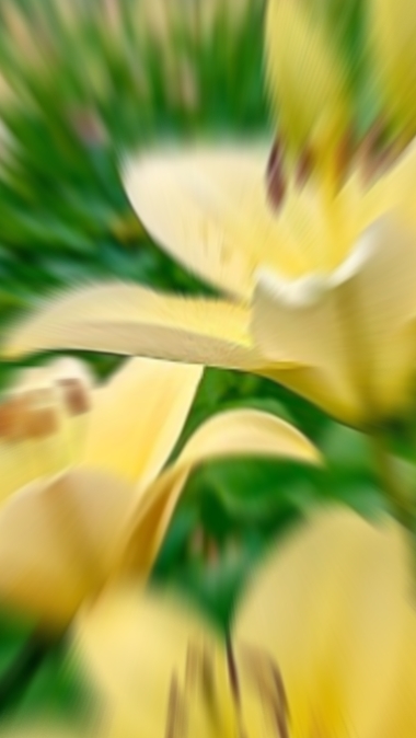 Transisi 10 fotoğraf 