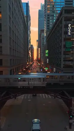City Night Vibes 