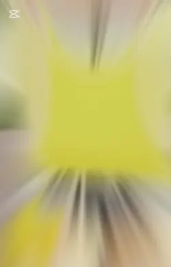 편집 대회 사운드 