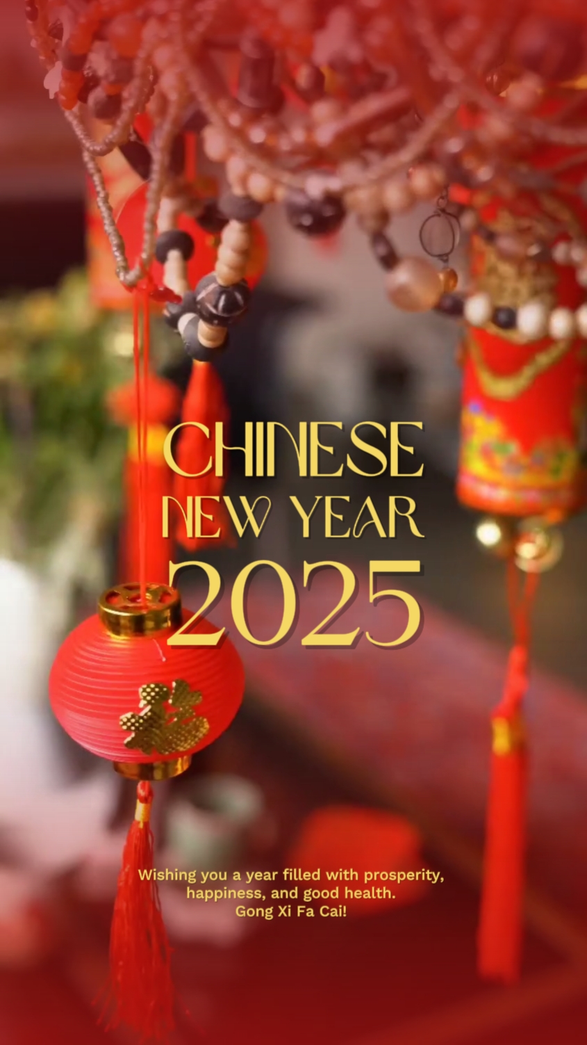 CNY 덤프 축하