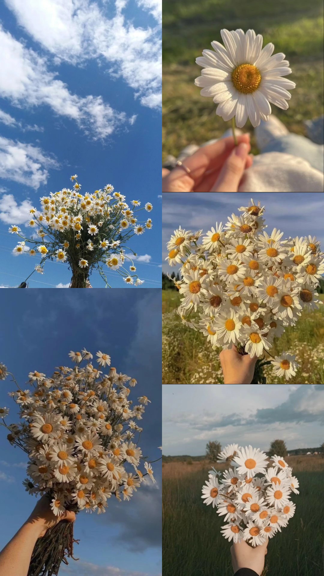 ÇERÇEVE ÇİÇEK ESTETİK