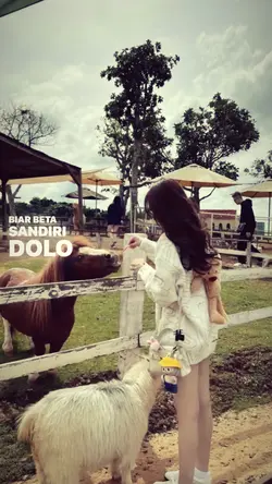 sandiri saja dolo