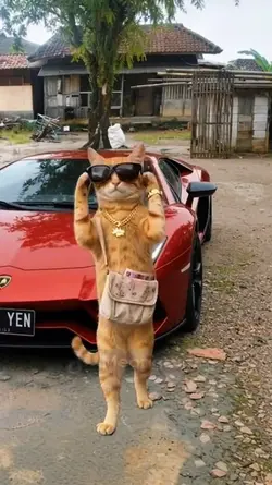 CEO Oyen