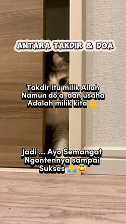 Ayo semangat ngonten