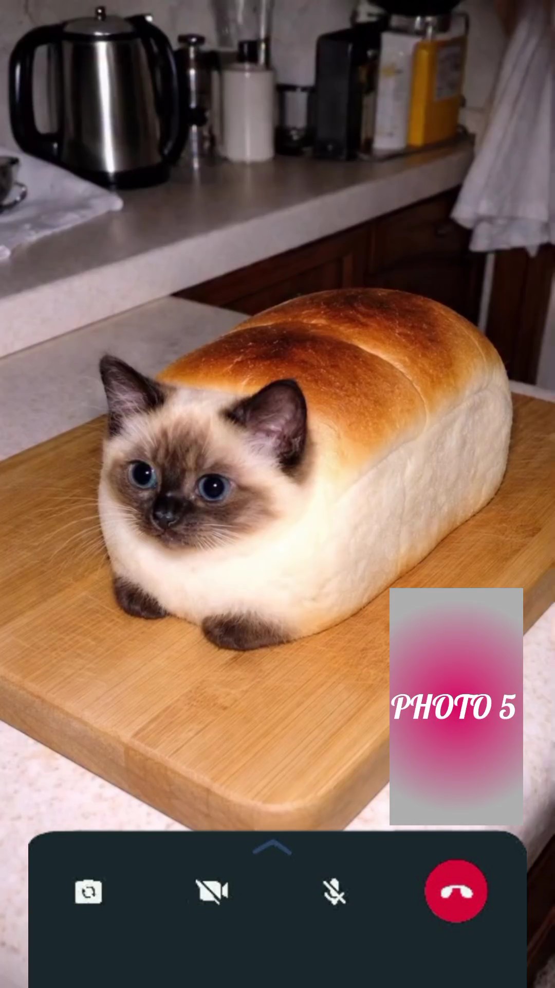 Novo modelo