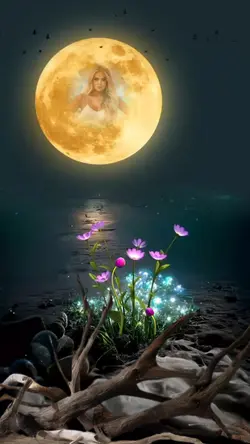 Romantic moon flower