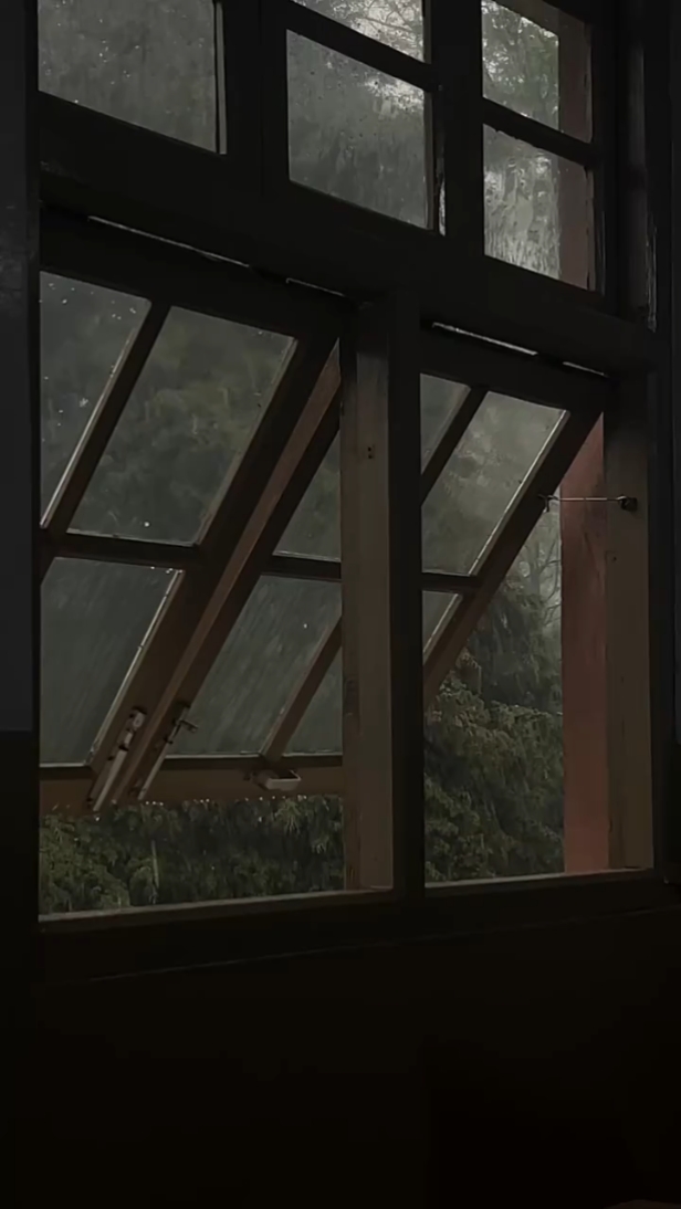 Terapia de lluvia