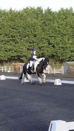 Canter