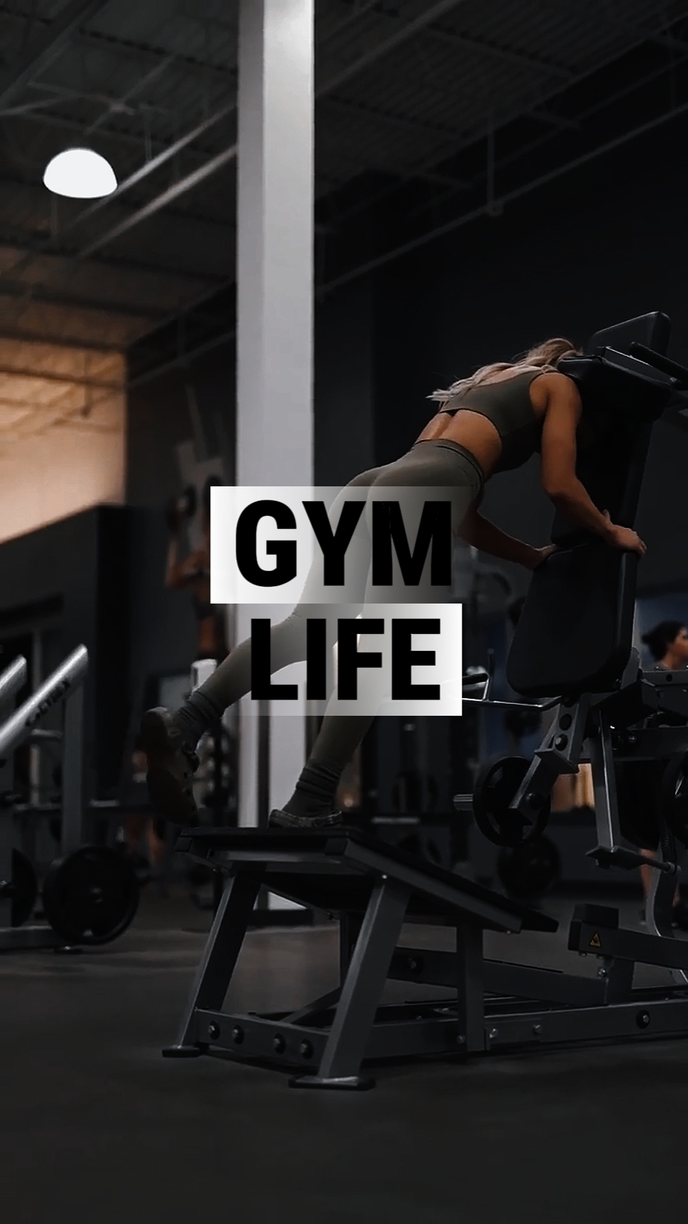 8clip gym life