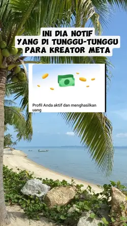 Facebook pro reels