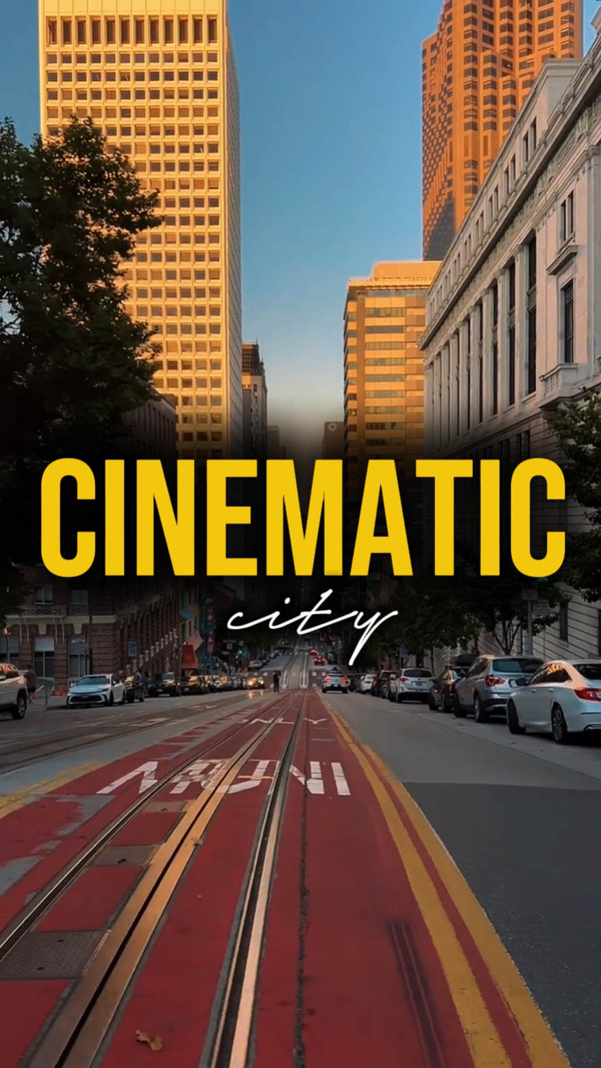 CINEMATIC CITY