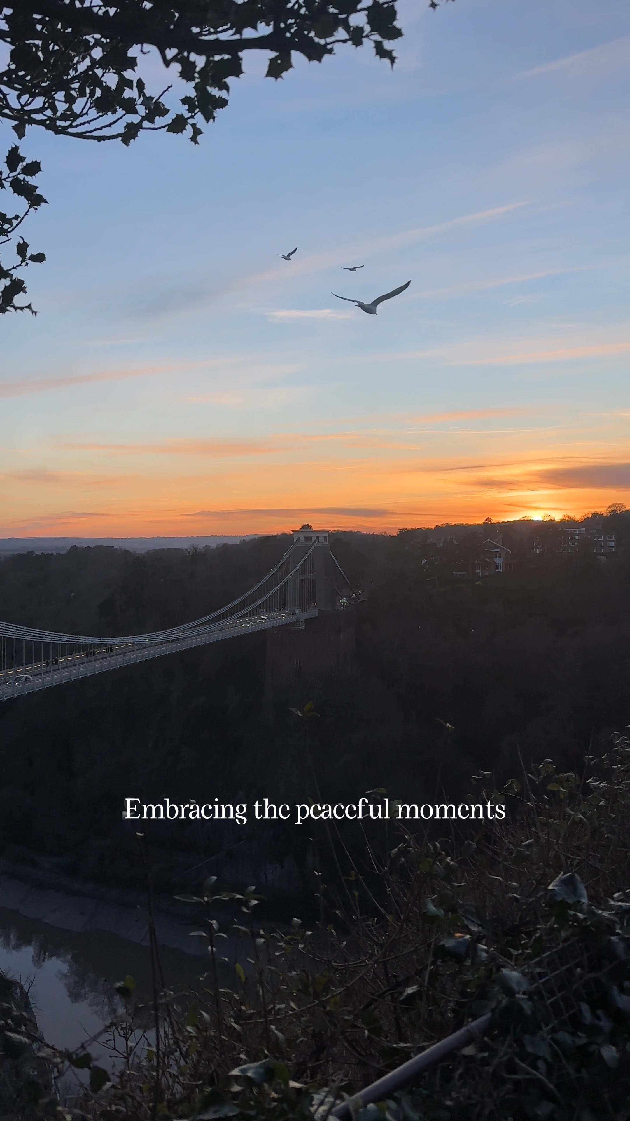 Peaceful moments
