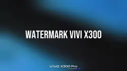 Vivox300 filter