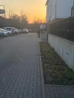 Zitate