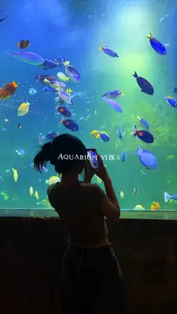 aquarium vibes