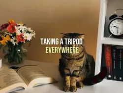 Tripod always