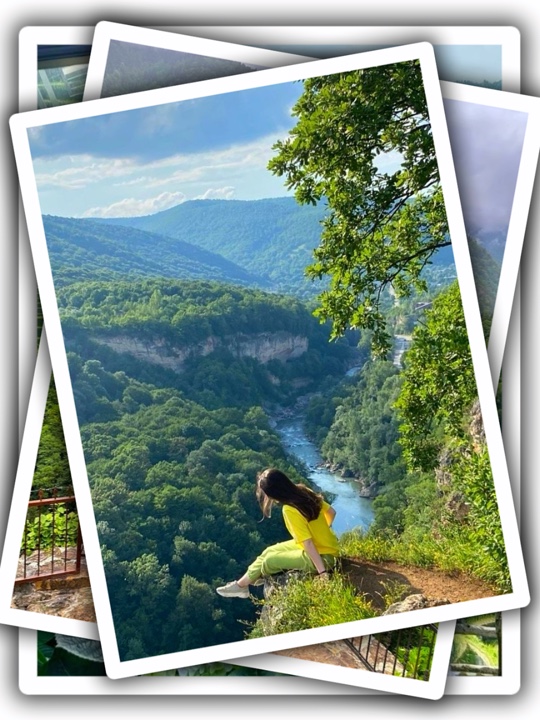 Cover Picture