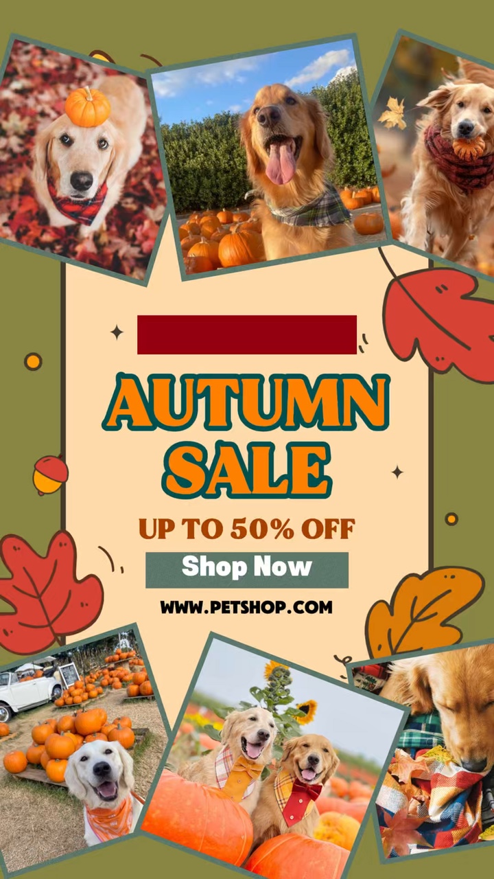 Zoohandlung Herbstverkauf