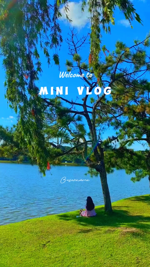 Travel Vlog Footage