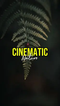 cinematic nature