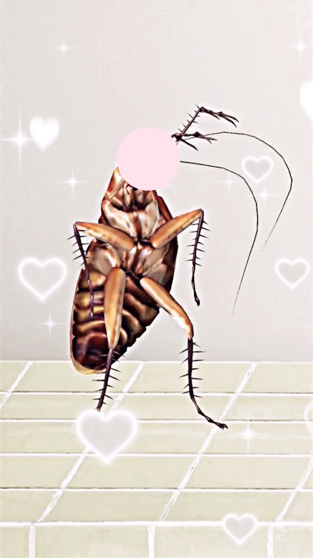 可愛いゴキブリ