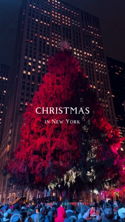 Christmas in NewYork