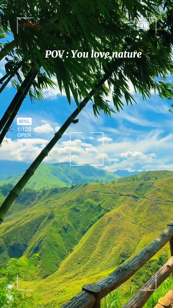 Nature