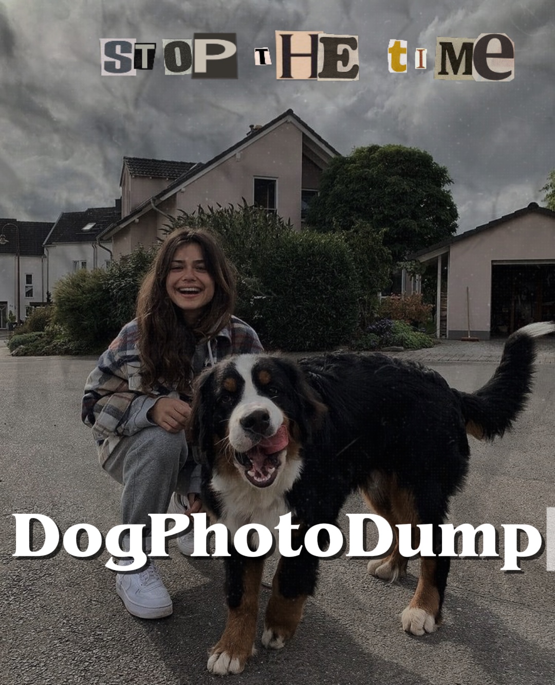 Hundefoto-Müllhalde 