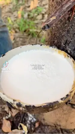 고무짜기 영상 나눔