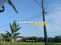 10 NĂM HAY 20 NĂM