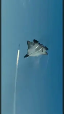 Dogfight