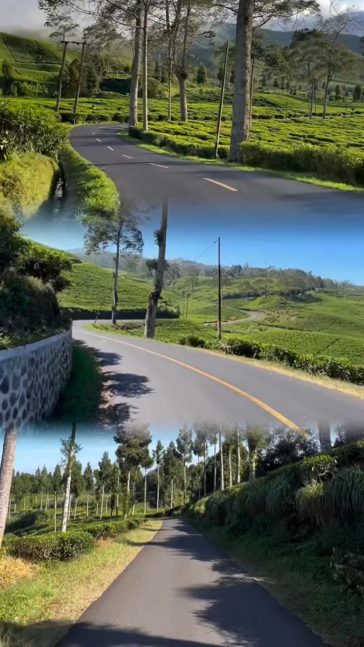 3 road trip vidéo