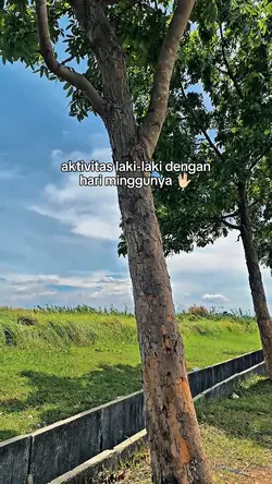 aktivitas laki-laki