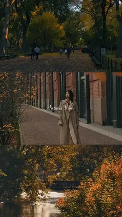 autumn aesthetic