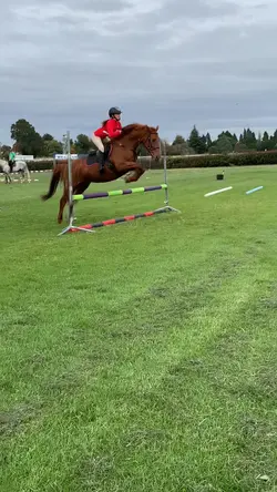 Popping some grids ♥️