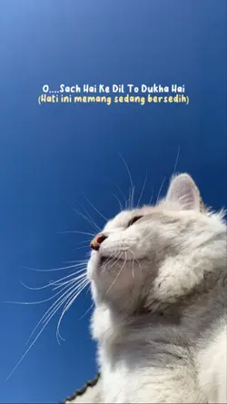 lyrics lagu India 