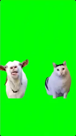 Talking Goat and Cat