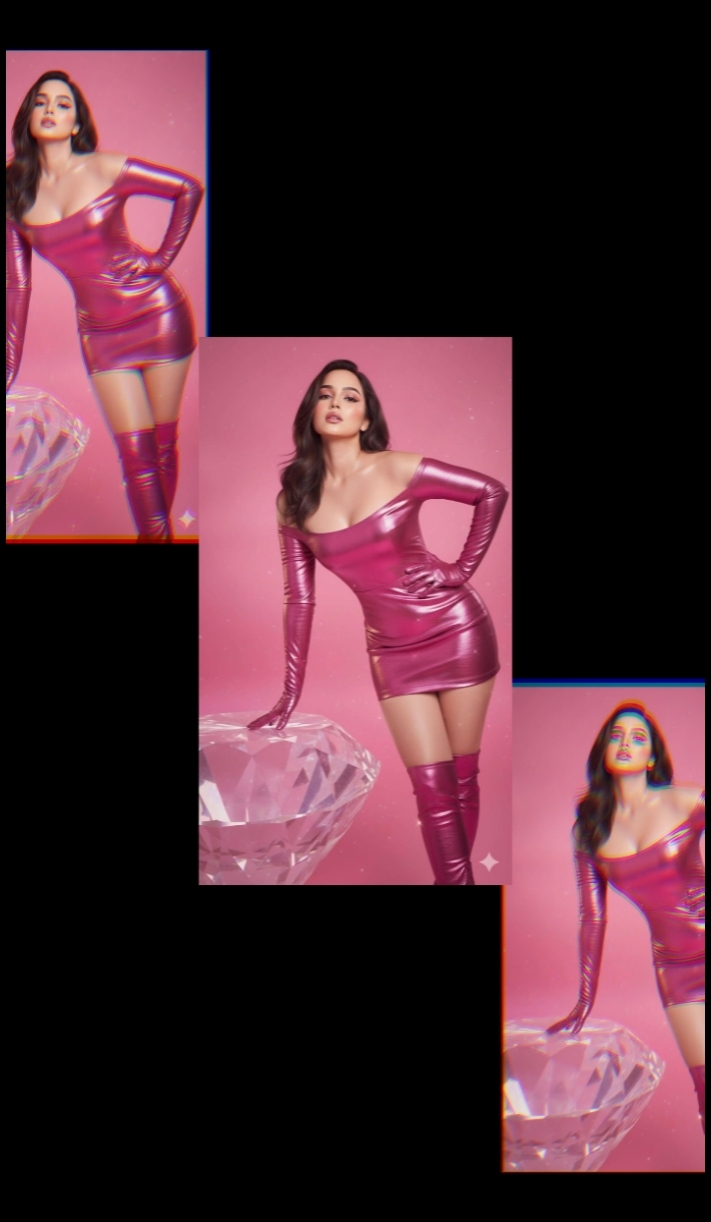 Novo Modelo