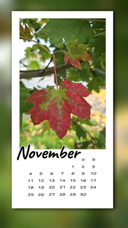 November calendar