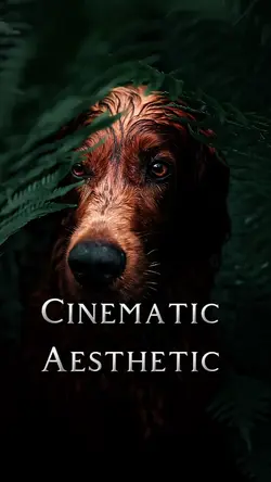 Cinematic aesthetic 