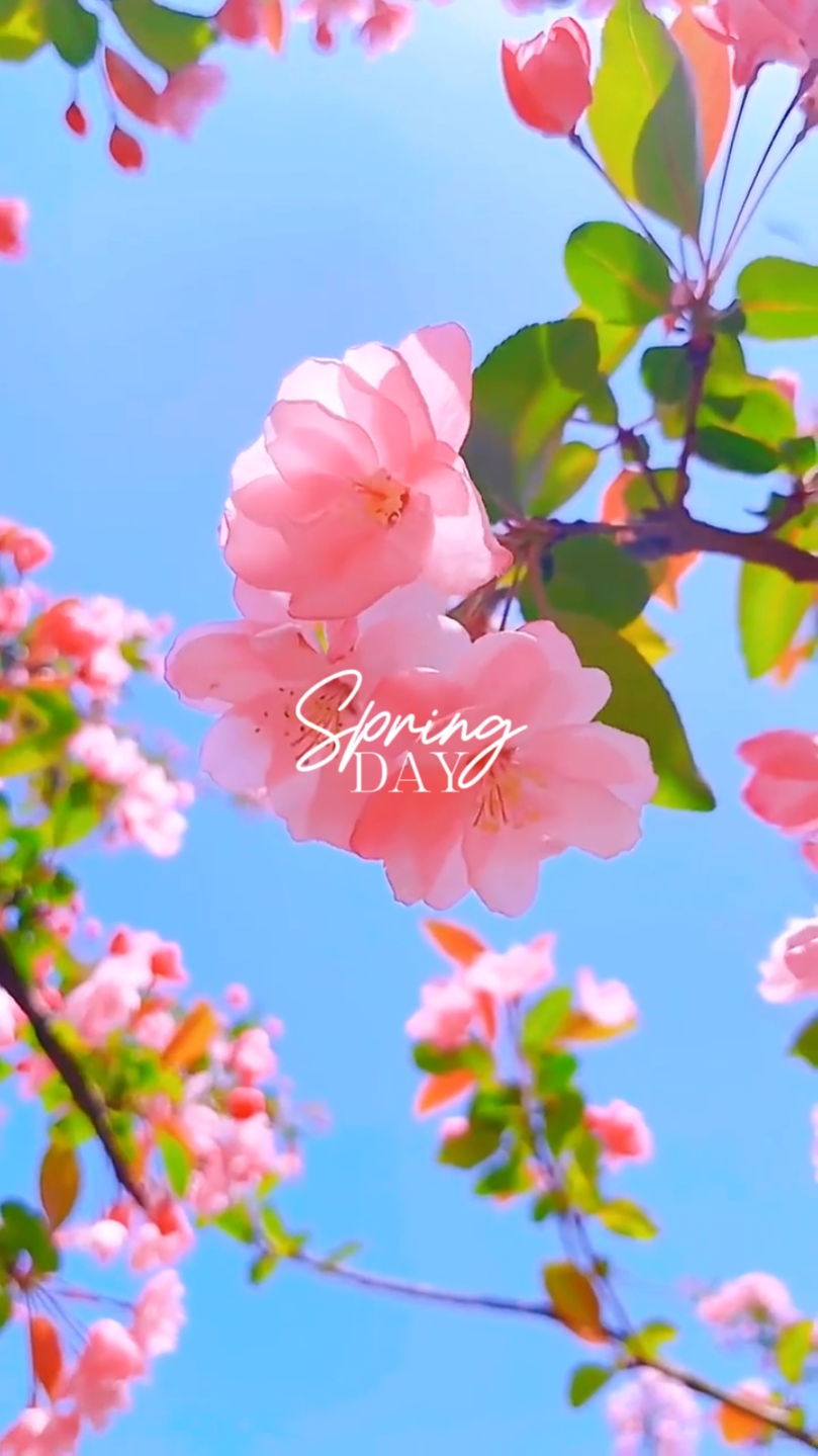 Día de Primavera