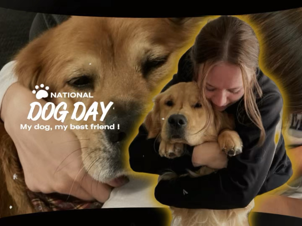 Día nacional del perro