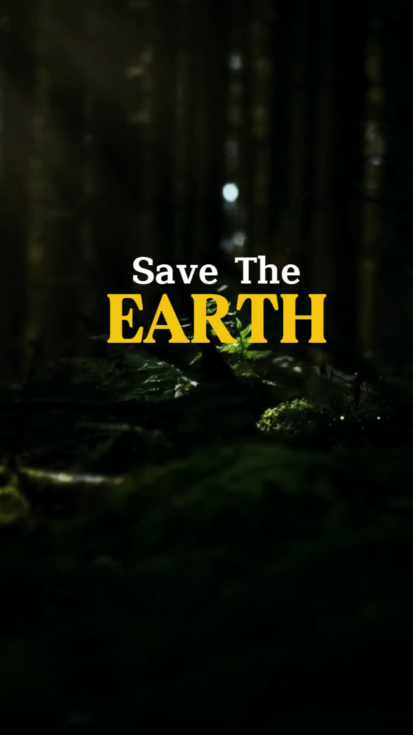 save the earth 