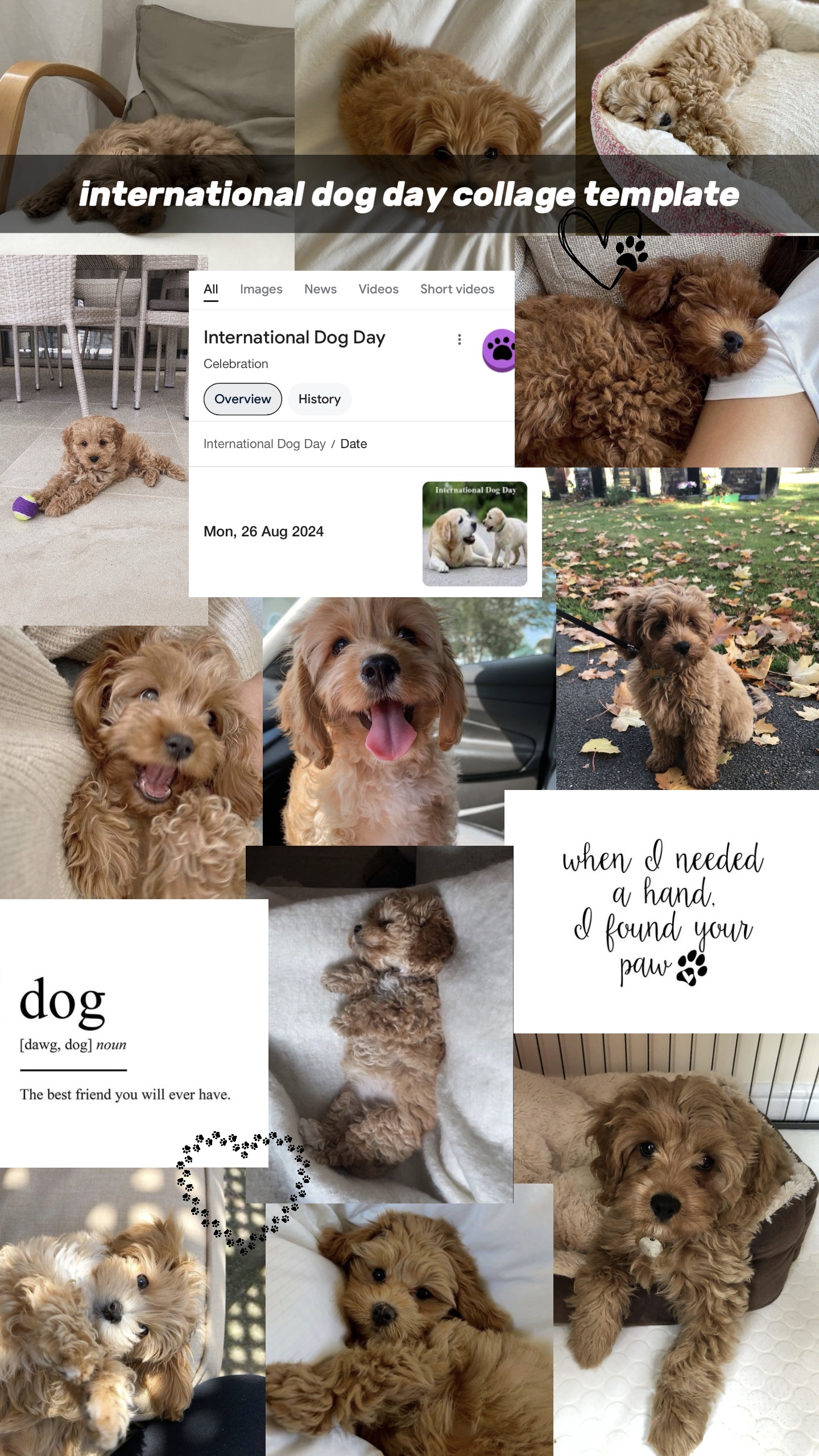dog day collage 🐾