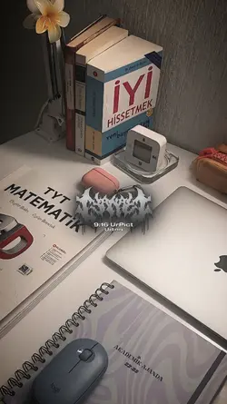 ALAY GAYA KAYA ARTIS