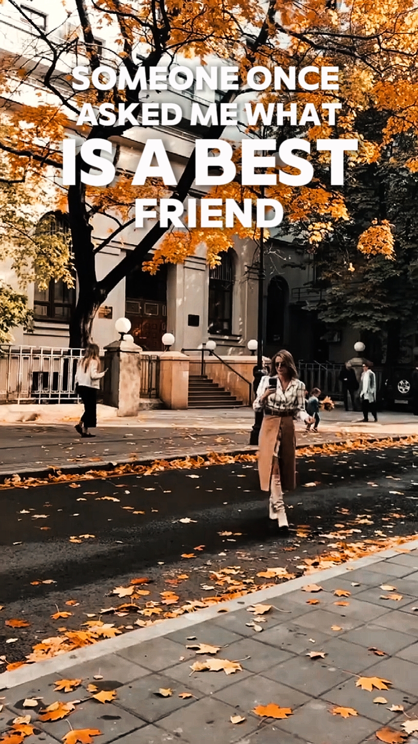 ¿Qué es un mejor amigo?