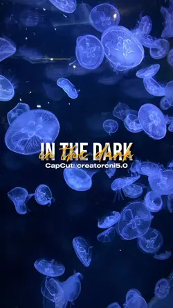 In The Dark