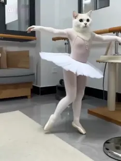 自分だけのバレエ