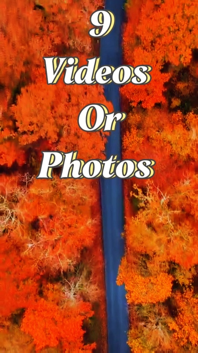 9 Videos o fotos 