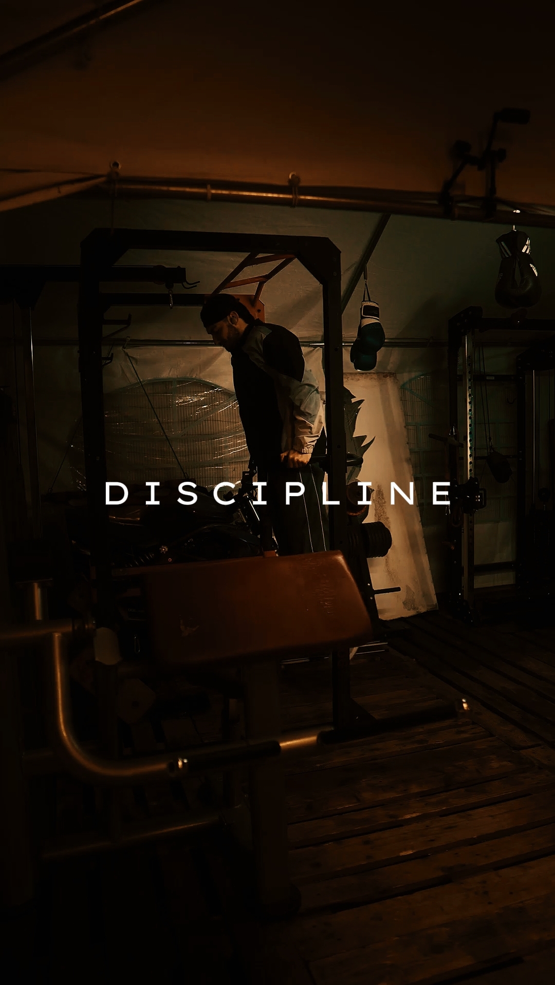 Disciplina